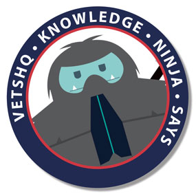 LOGO-KNOWLEDGE-NINJA-LARGE