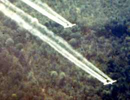 Agent Orange herbicide exposure