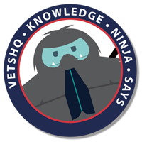 Knowledge Ninja